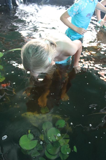 Einblick in die Aquarienwelt - Kurs 2