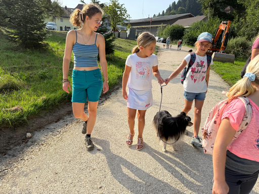 Rund um den Hund