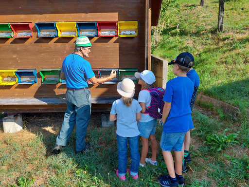 Faszination der Bienen