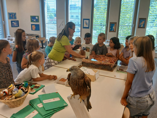 Erforsche die Vogelwelt