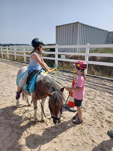 Rund ums Pony!