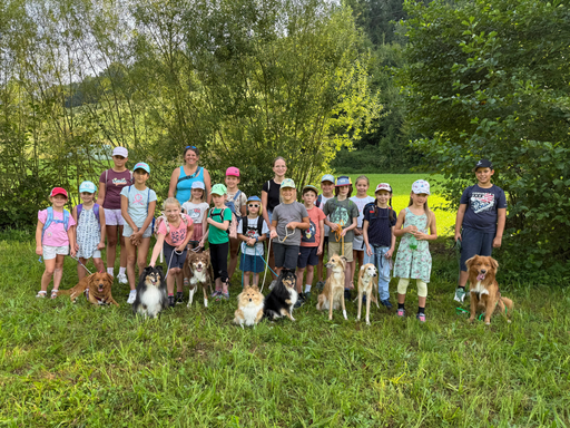 Rund um den Hund